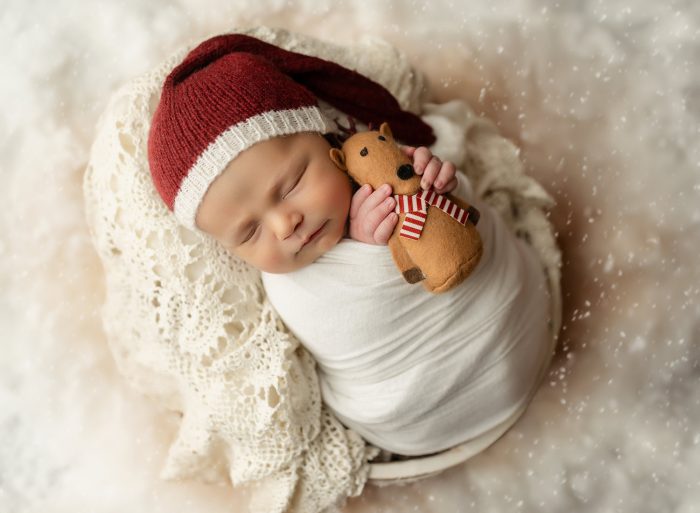 newborn portraits pdx