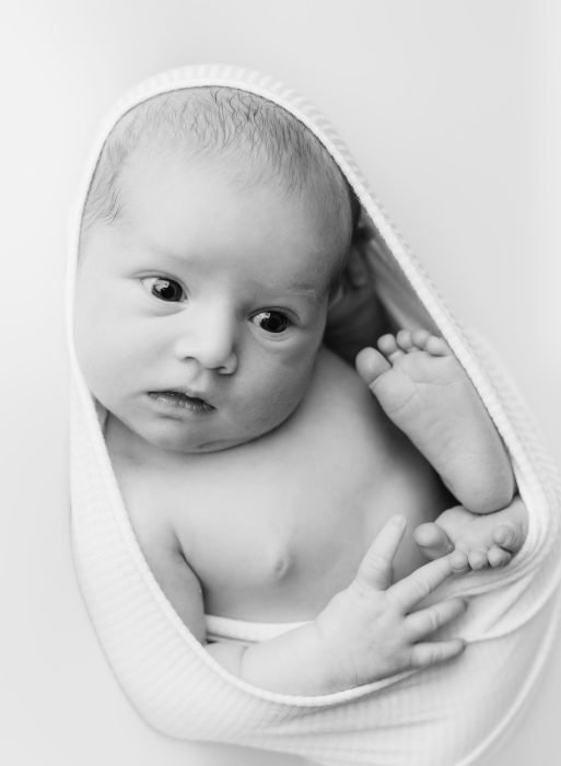 newborn photographer pdx