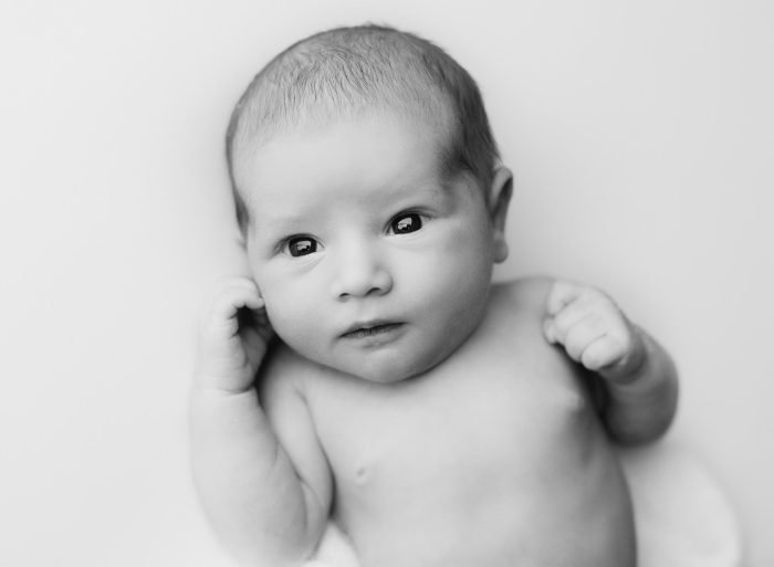 westlinn photography baby