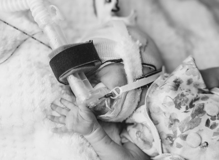 micro preemie photographer