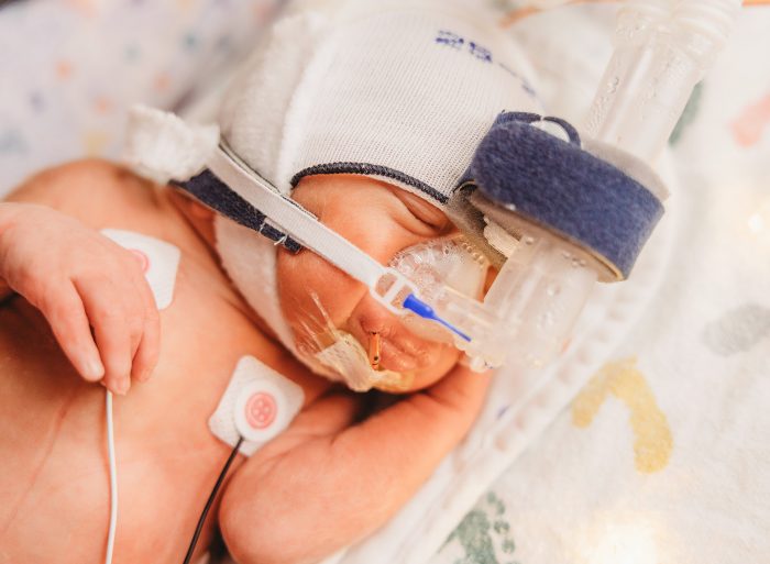 nicu photographer