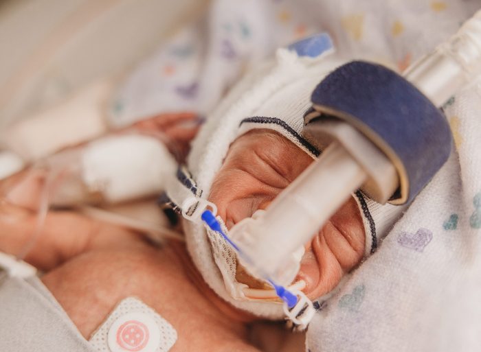 portland NICU photography