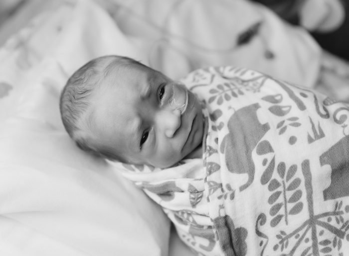 portland nicu