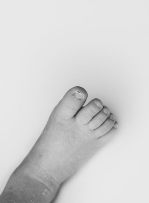 in home baby photographer beaverton