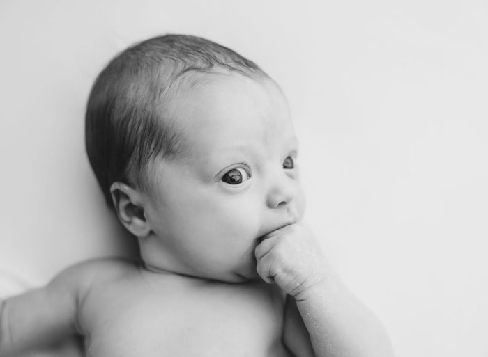 newborn photographer portland