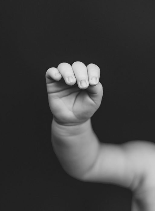 newborn photography portland