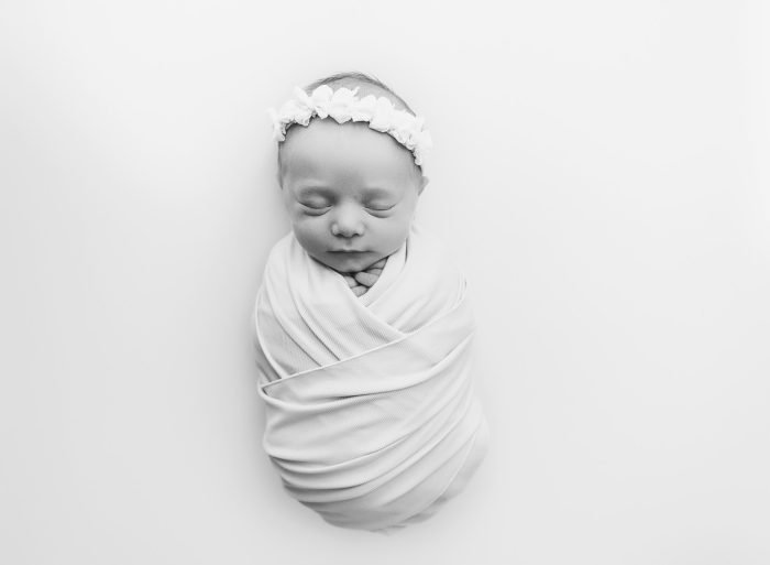 tigard oregon posed newborn session