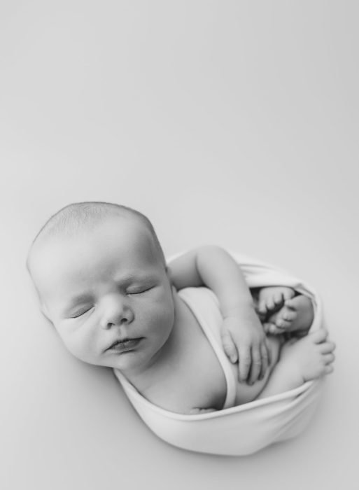 newborn photos portland