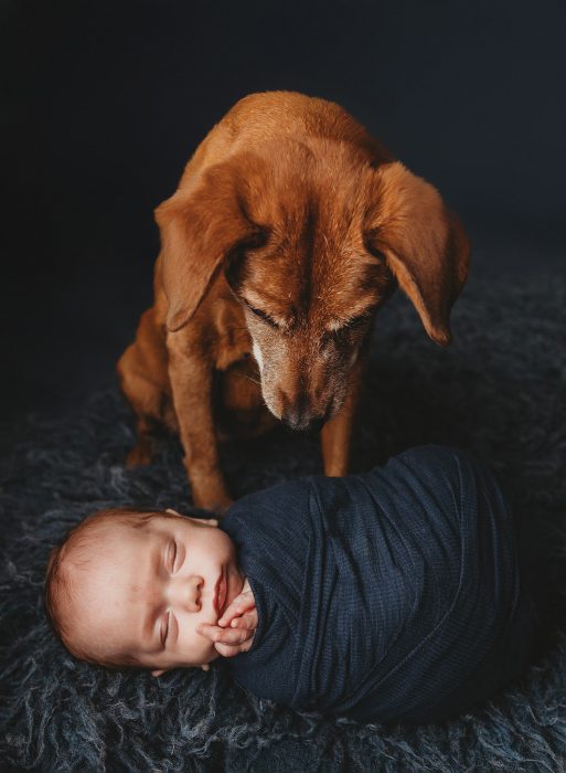 Best Portland newborn photographer
