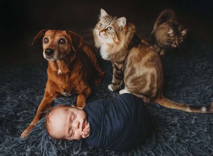 Oregon City newborn baby photo session