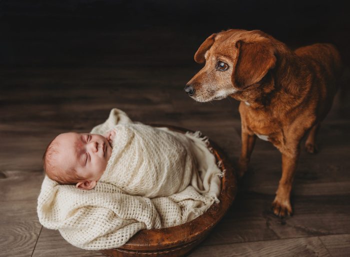 Portland Oregon newborn baby photography
