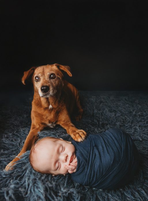 Portland newborn baby photographer