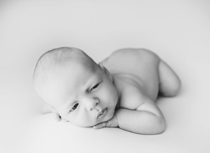 posed newborn photographer tigard