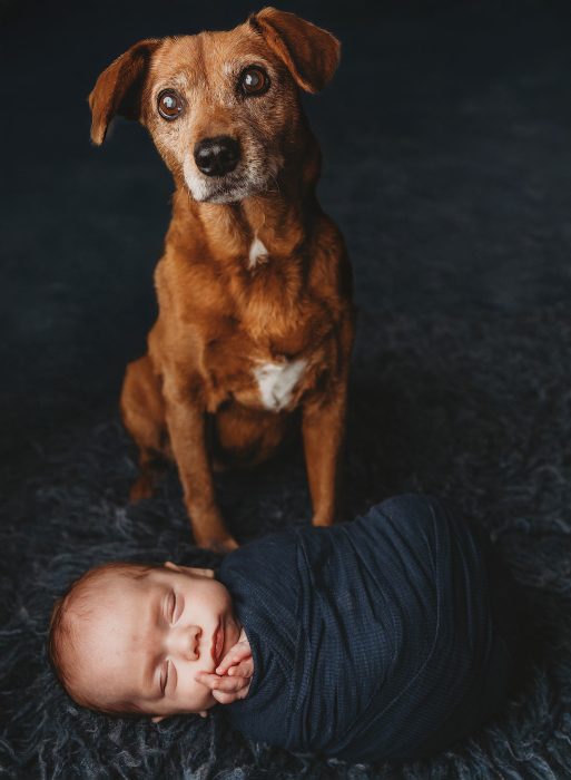 sherwood newborn baby photographer