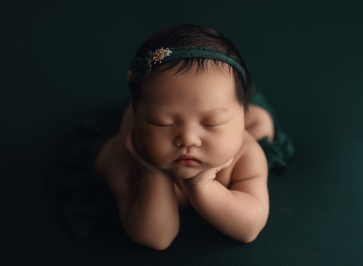 in home newborn photography NYC family